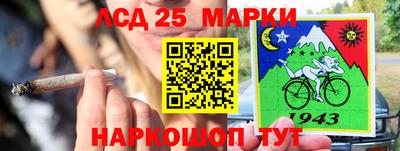 шишки Жуковский
