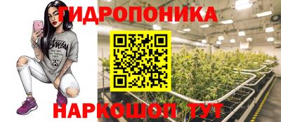 спиды Заволжье