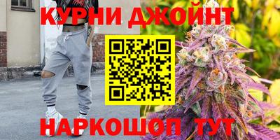 шишки Жуковский