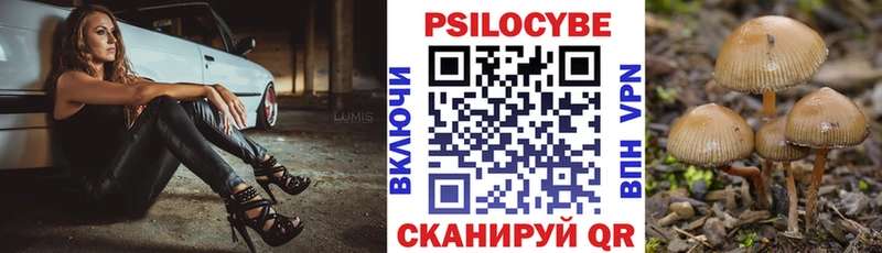 наркота  мега маркетплейс  Псилоцибиновые грибы Psilocybine cubensis  Нурлат 