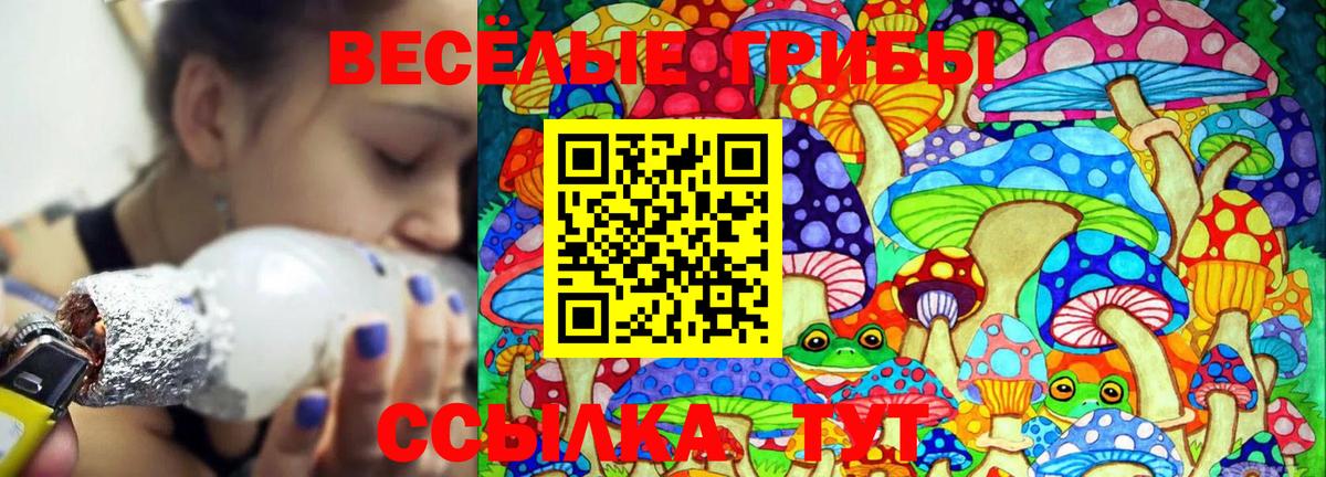 Псилоцибиновые грибы прущие грибы  где купить   Галлюциногенные грибы Cubensis  Нурлат  Вход с VPN 